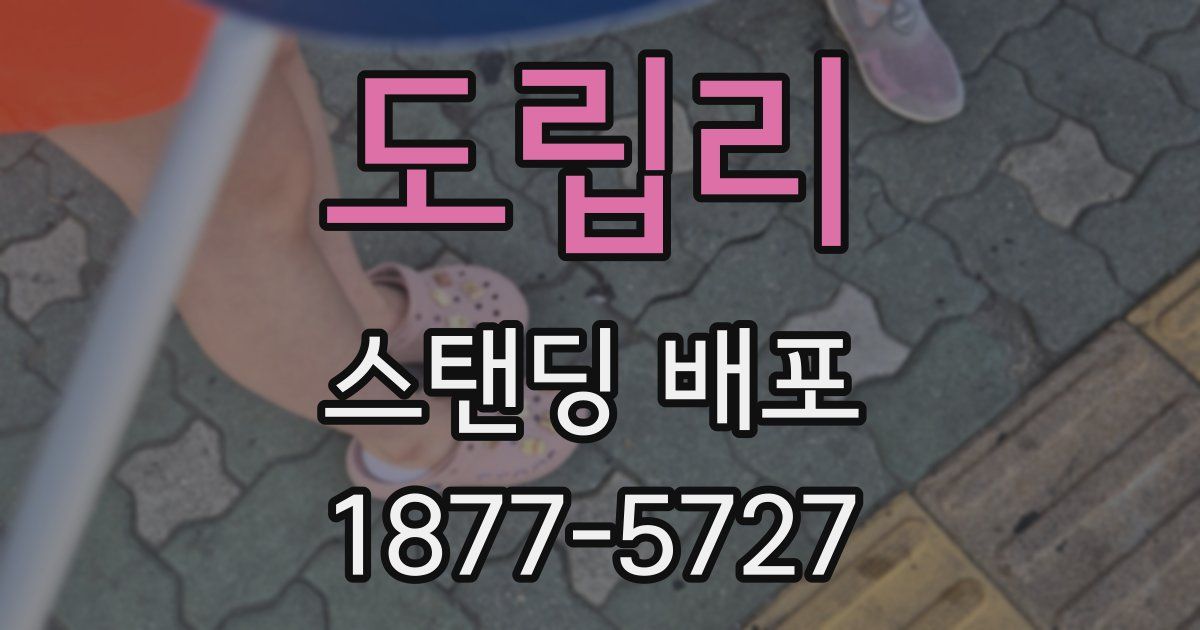 도립리 스탠딩 배포