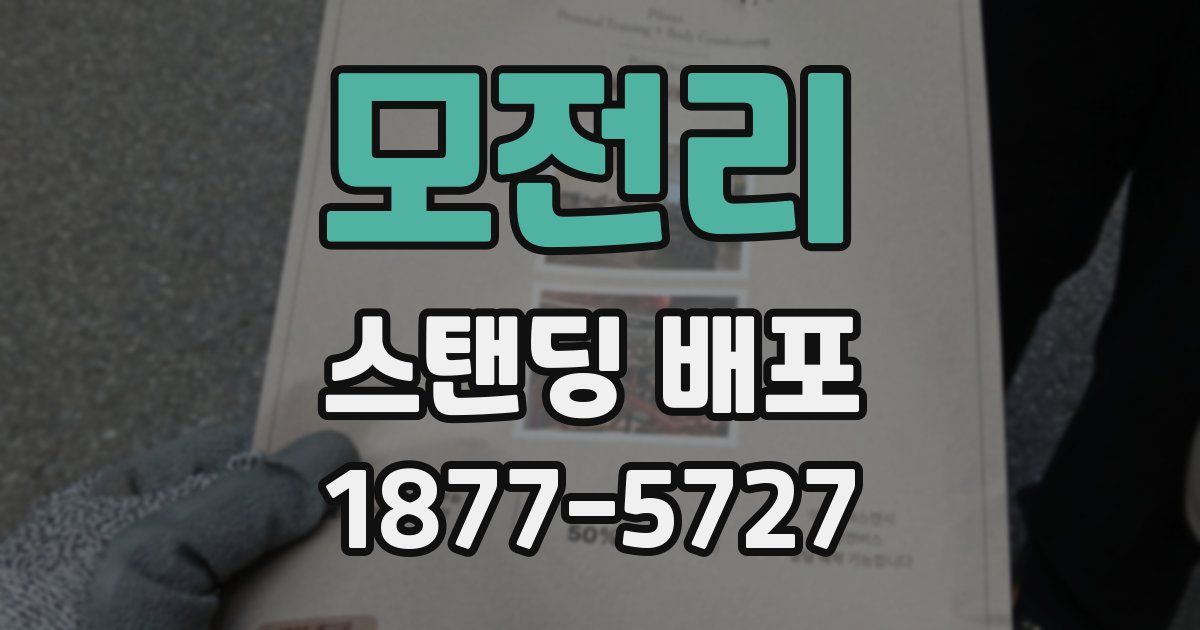모전리 스탠딩 배포