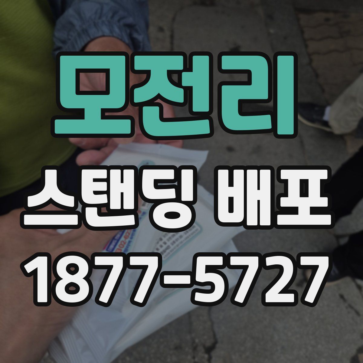 모전리 스탠딩 배포