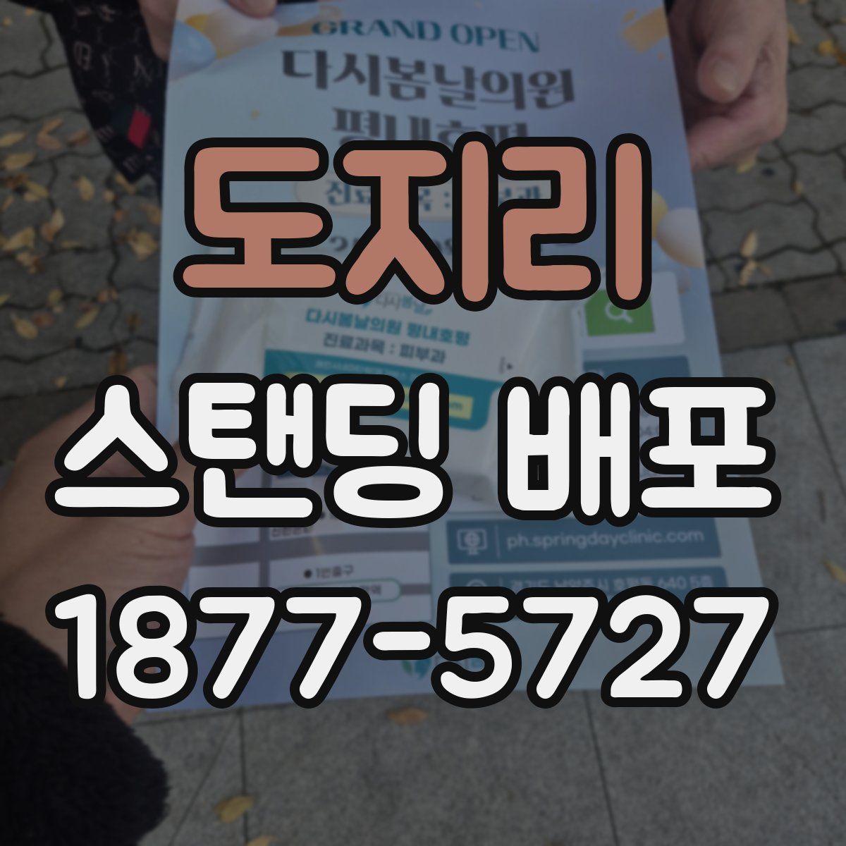 도지리 스탠딩 배포