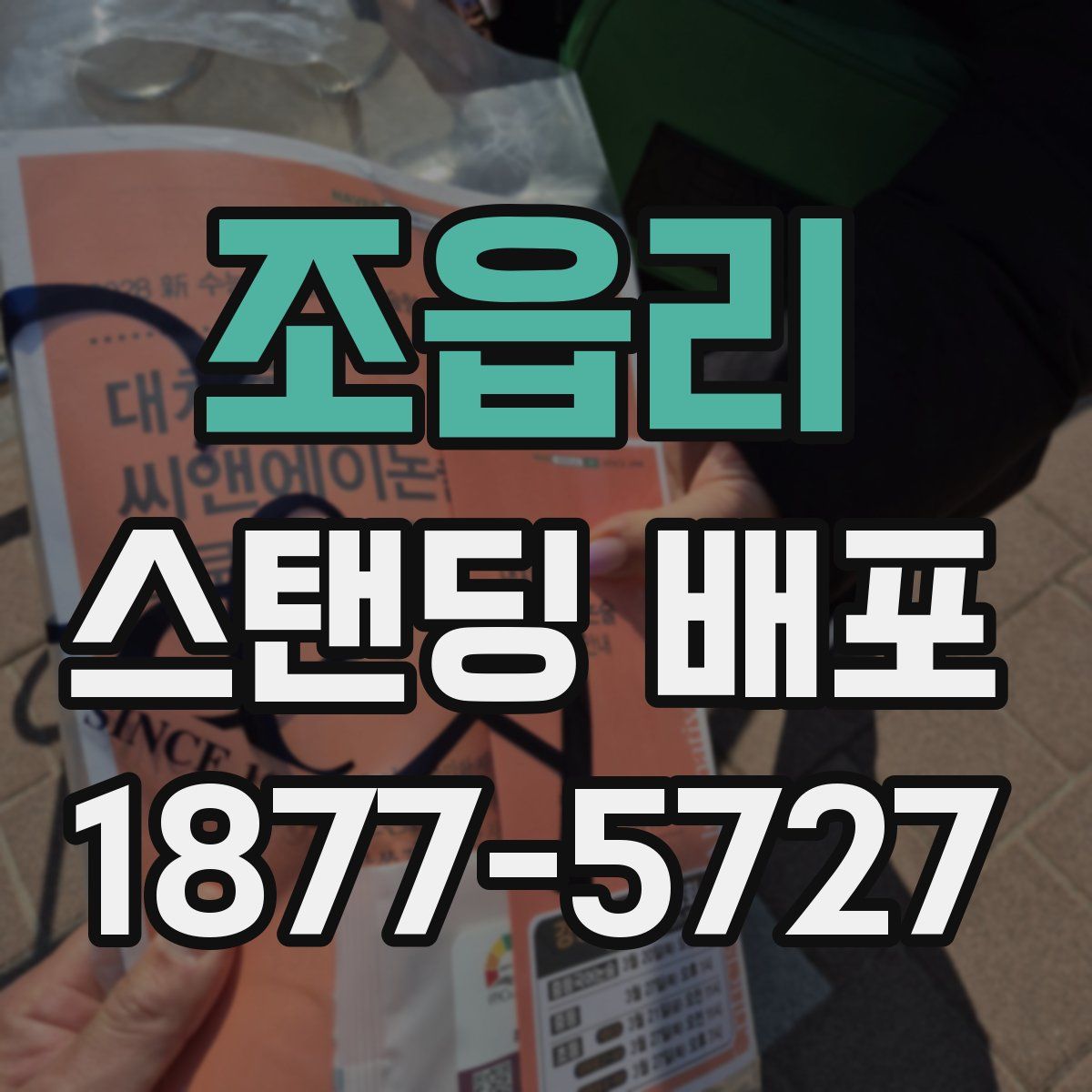 조읍리 스탠딩 배포