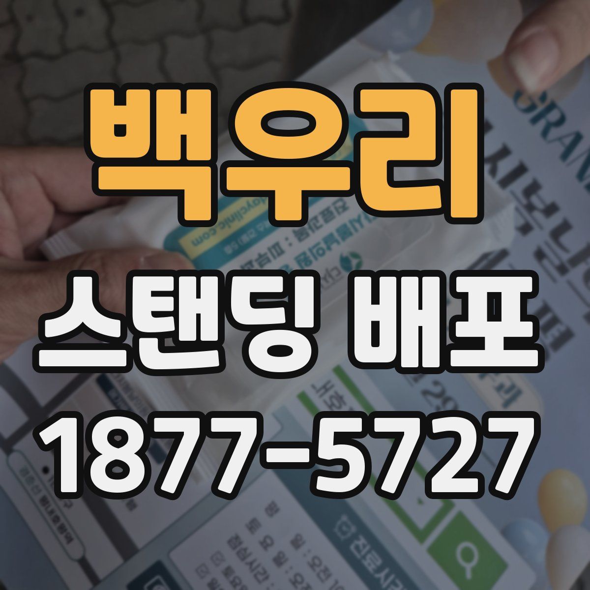 백우리 스탠딩 배포