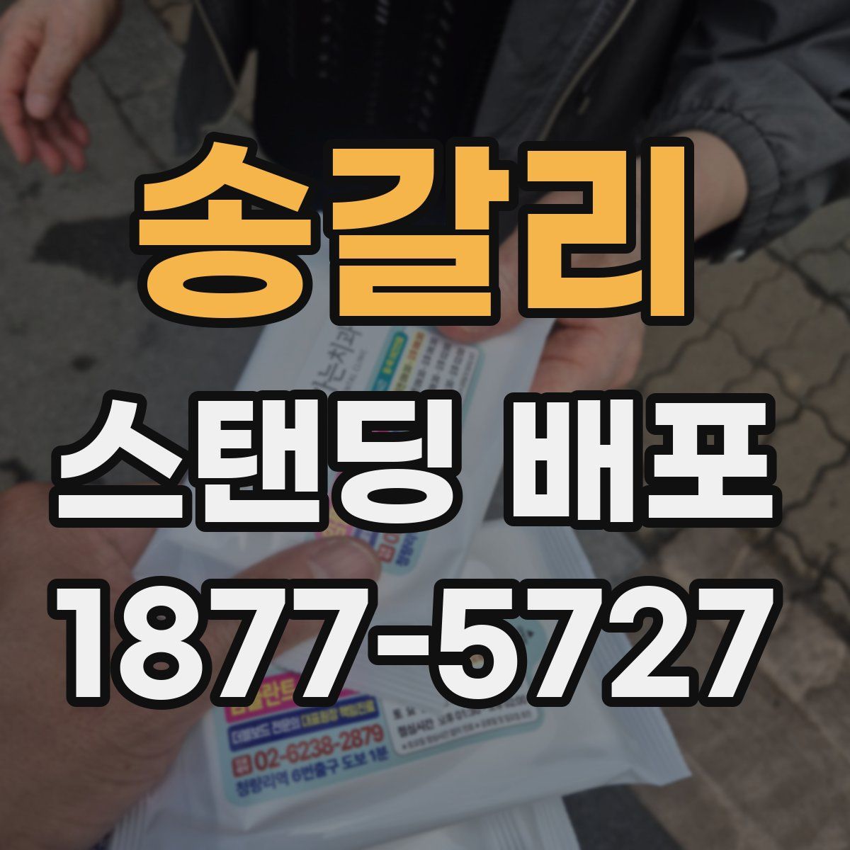 송갈리 스탠딩 배포