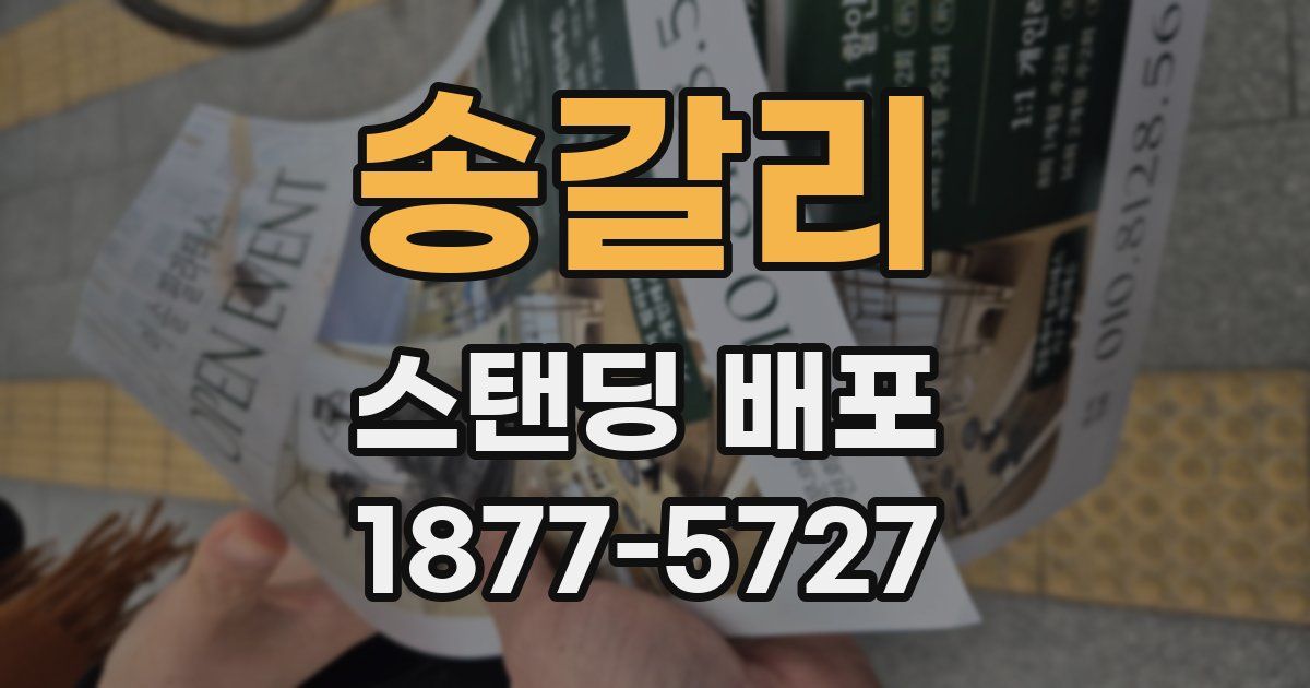 송갈리 스탠딩 배포