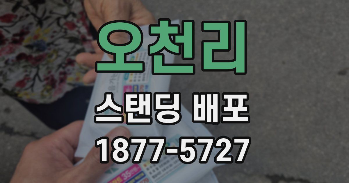 오천리 스탠딩 배포