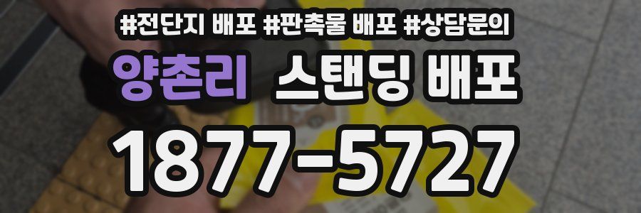 양촌리 스탠딩 배포