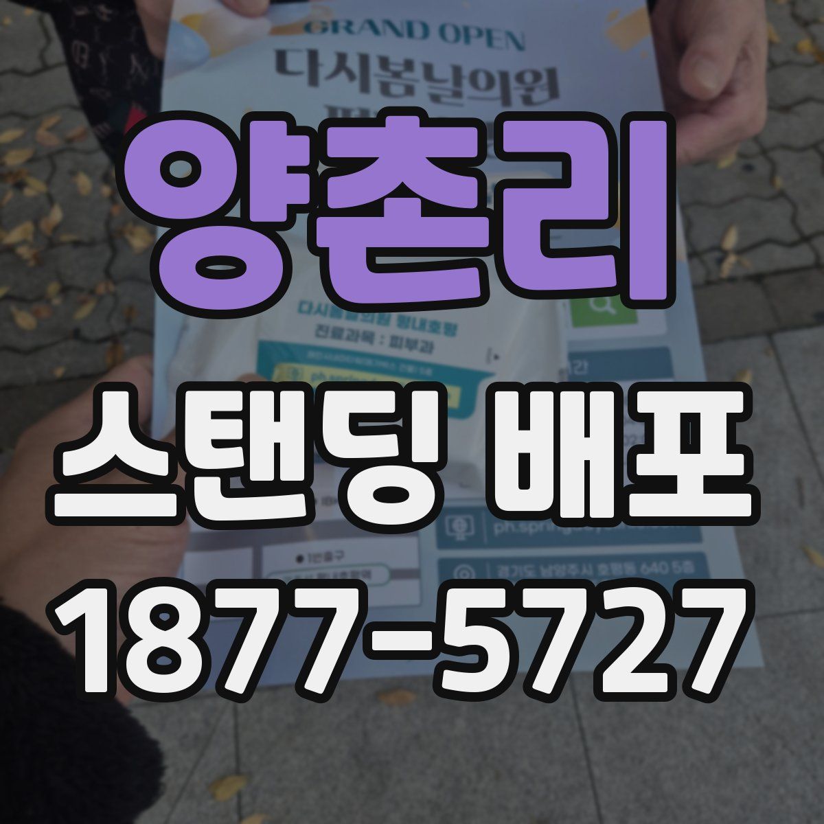 양촌리 스탠딩 배포
