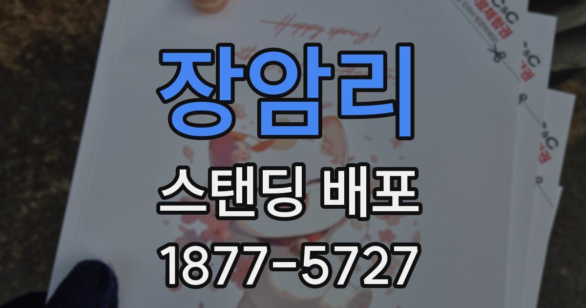 장암리 스탠딩 배포