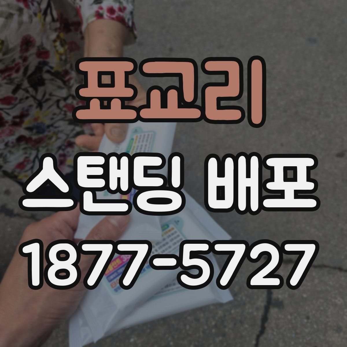 표교리 스탠딩 배포