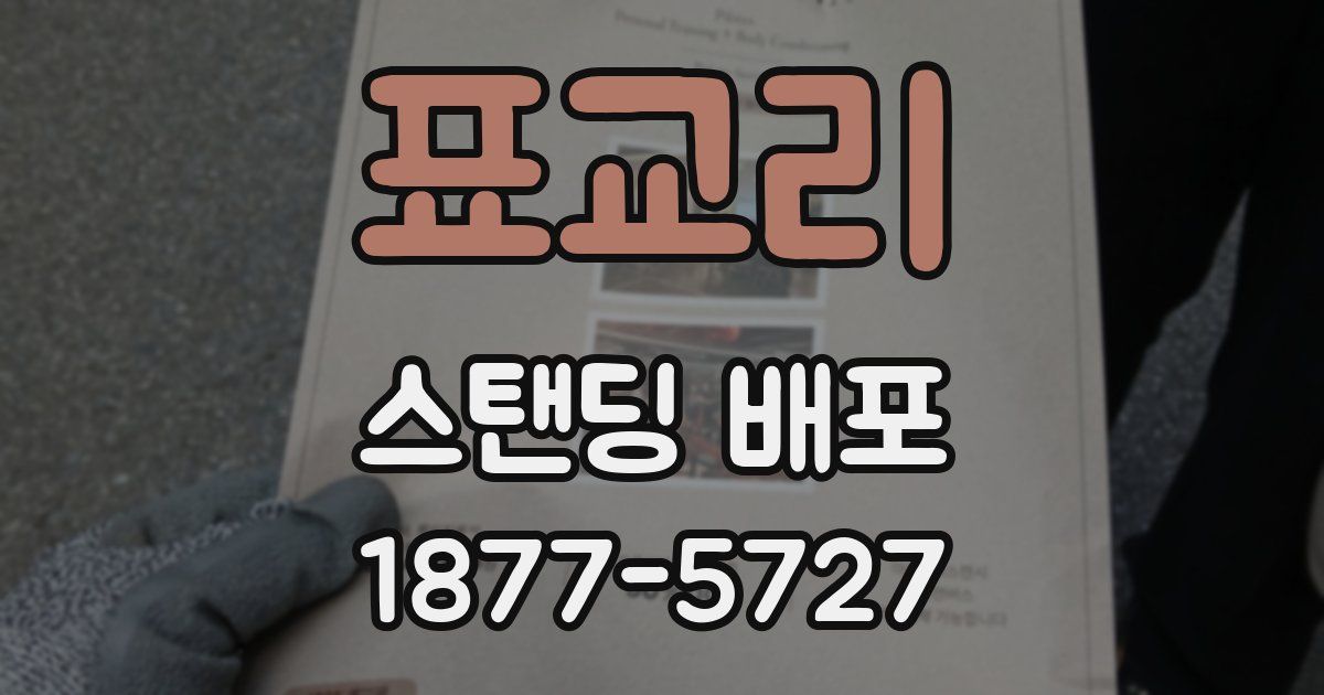 표교리 스탠딩 배포