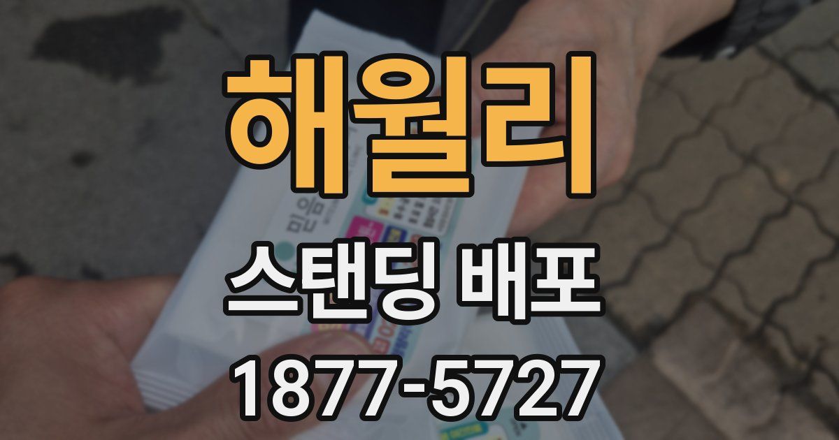 해월리 스탠딩 배포