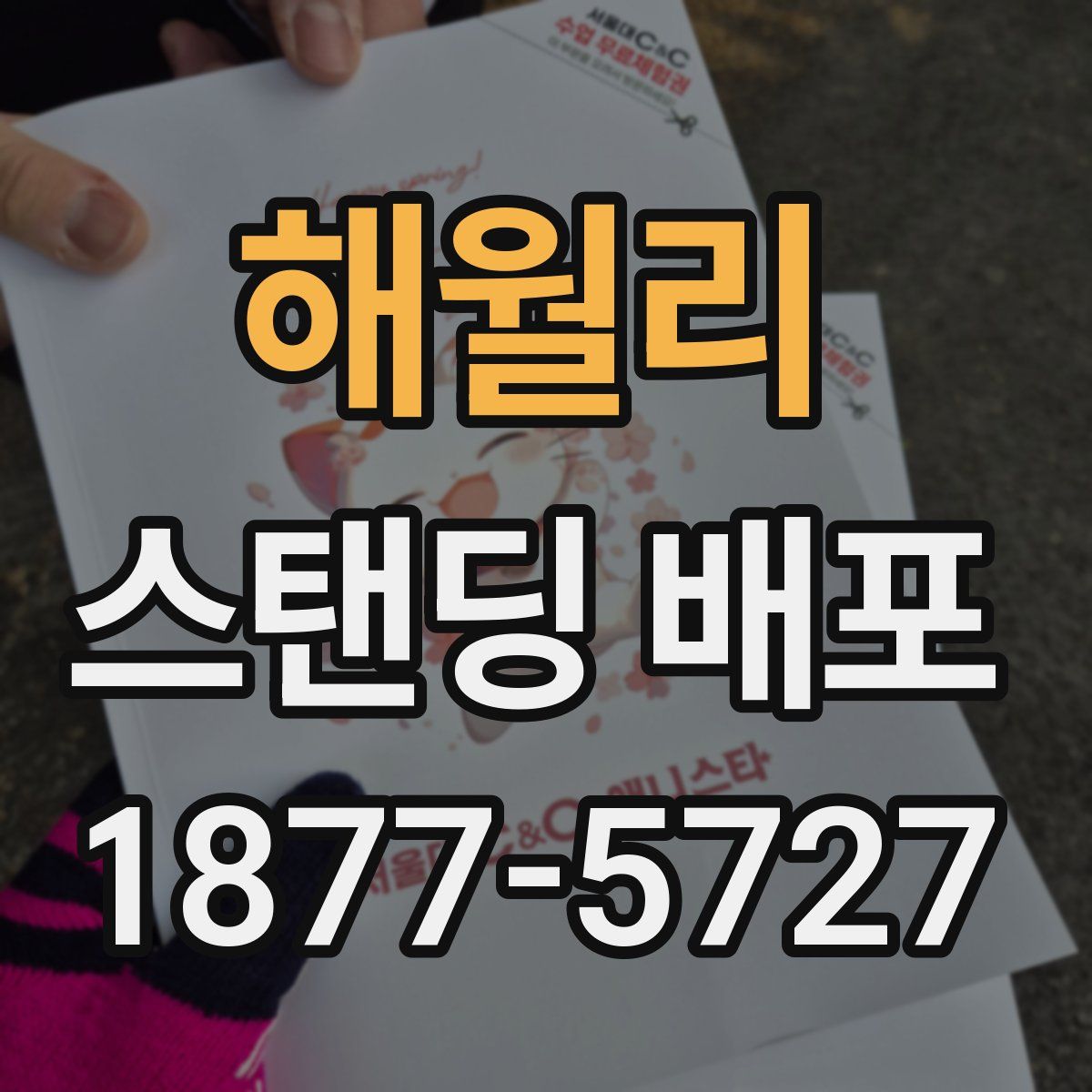 해월리 스탠딩 배포