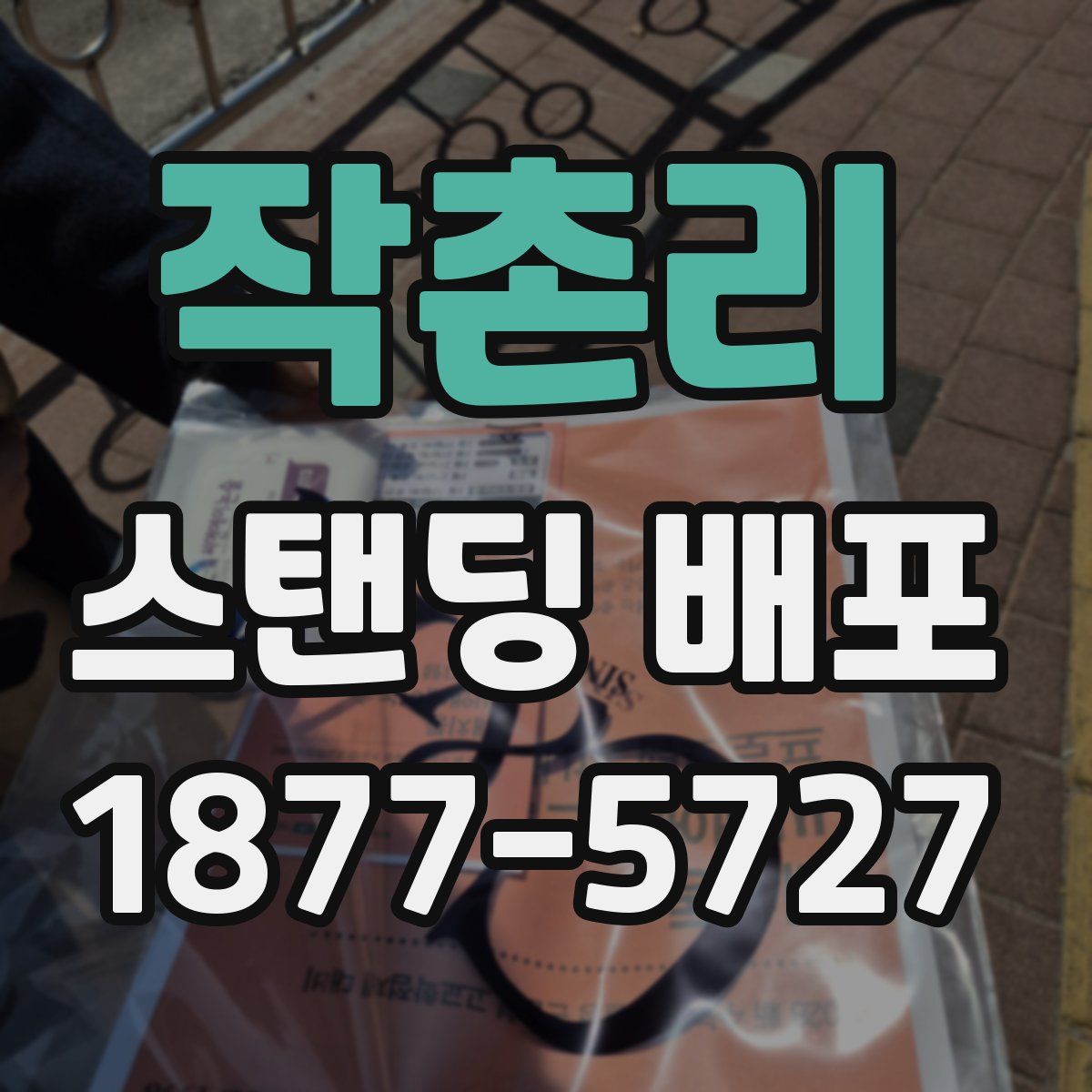 작촌리 스탠딩 배포