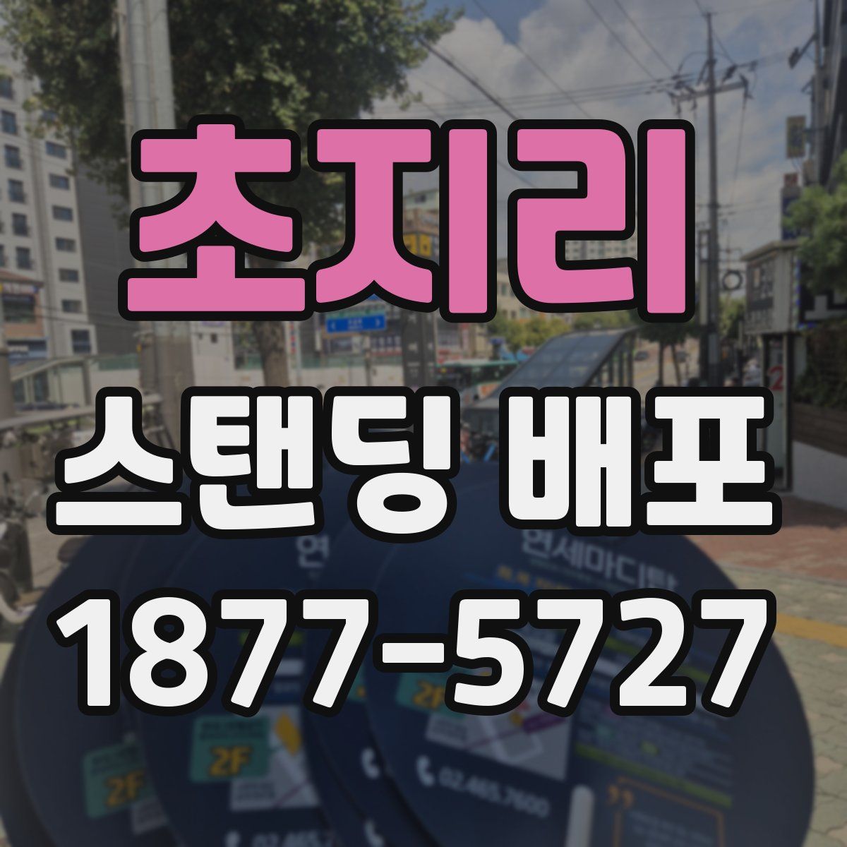 초지리 스탠딩 배포