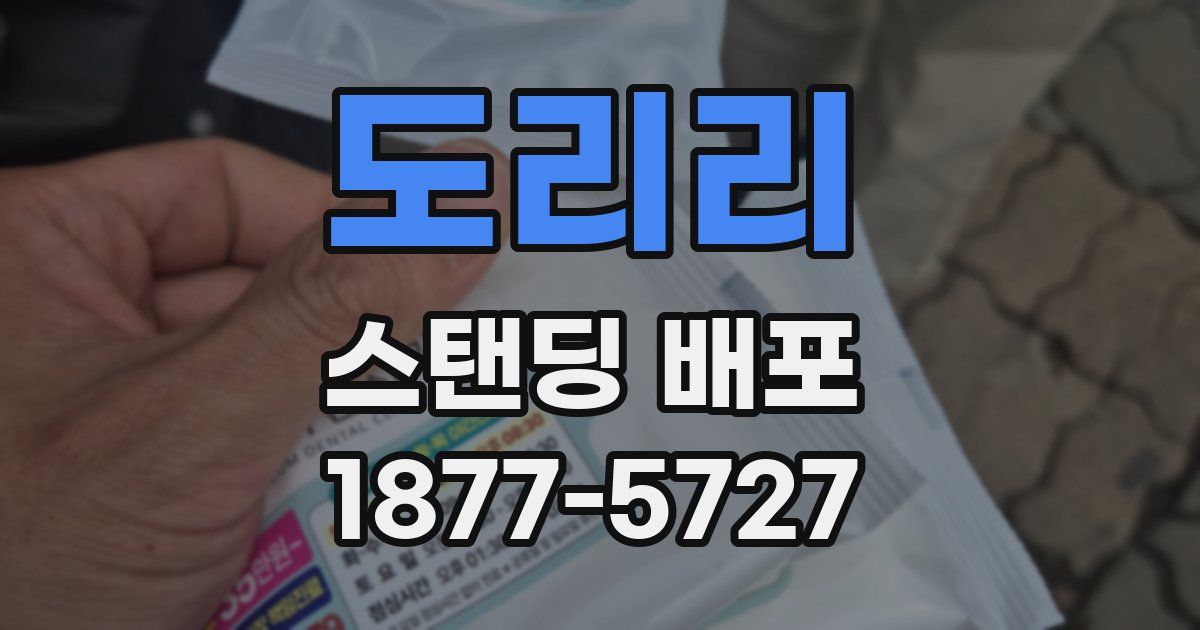 도리리 스탠딩 배포
