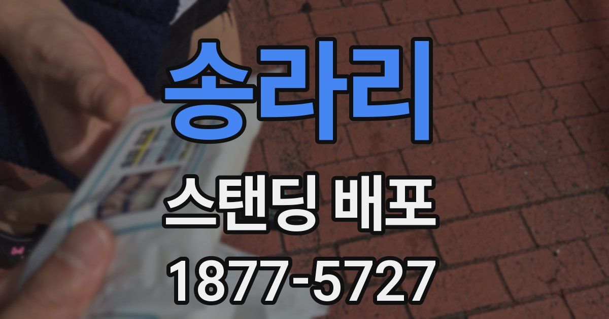 송라리 스탠딩 배포