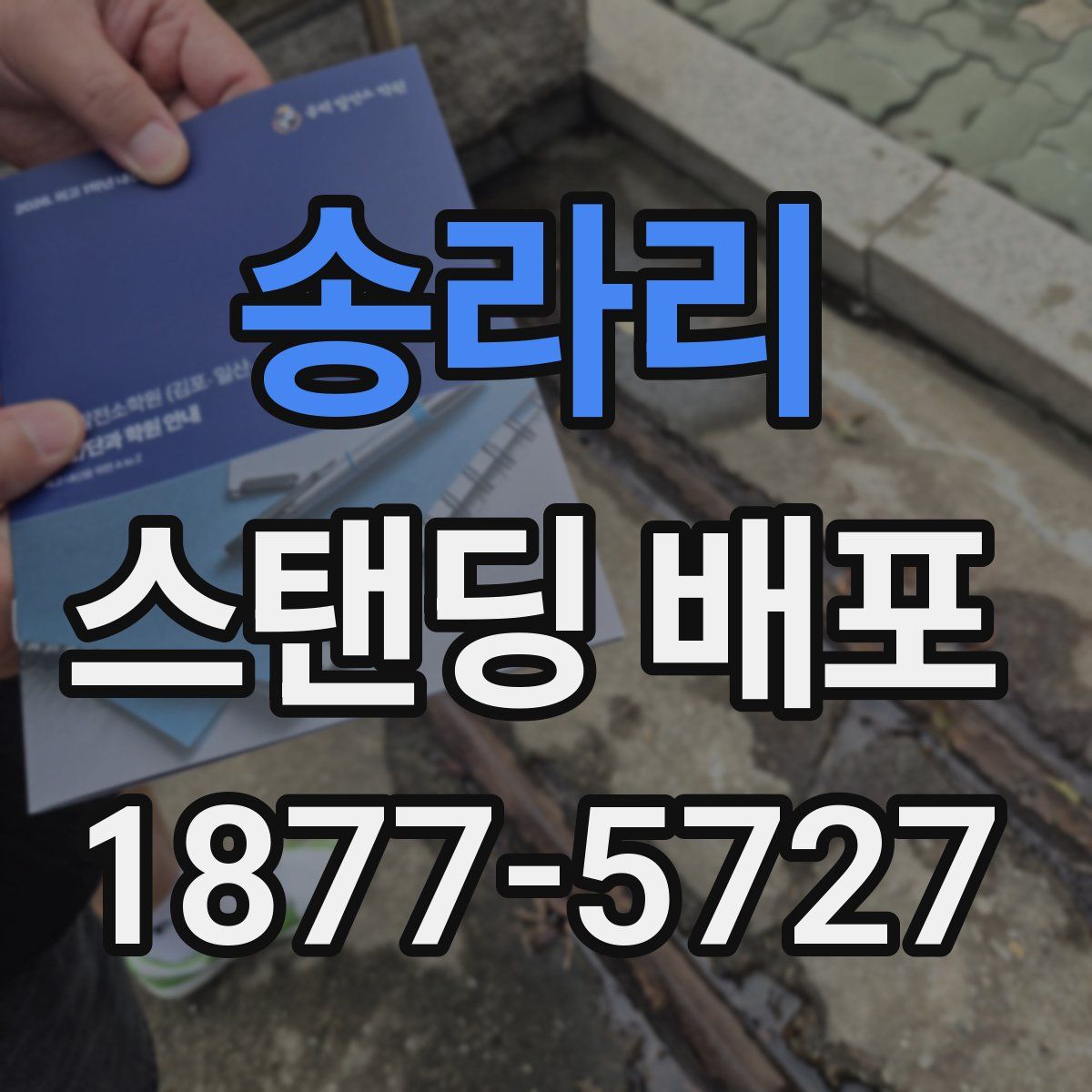 송라리 스탠딩 배포