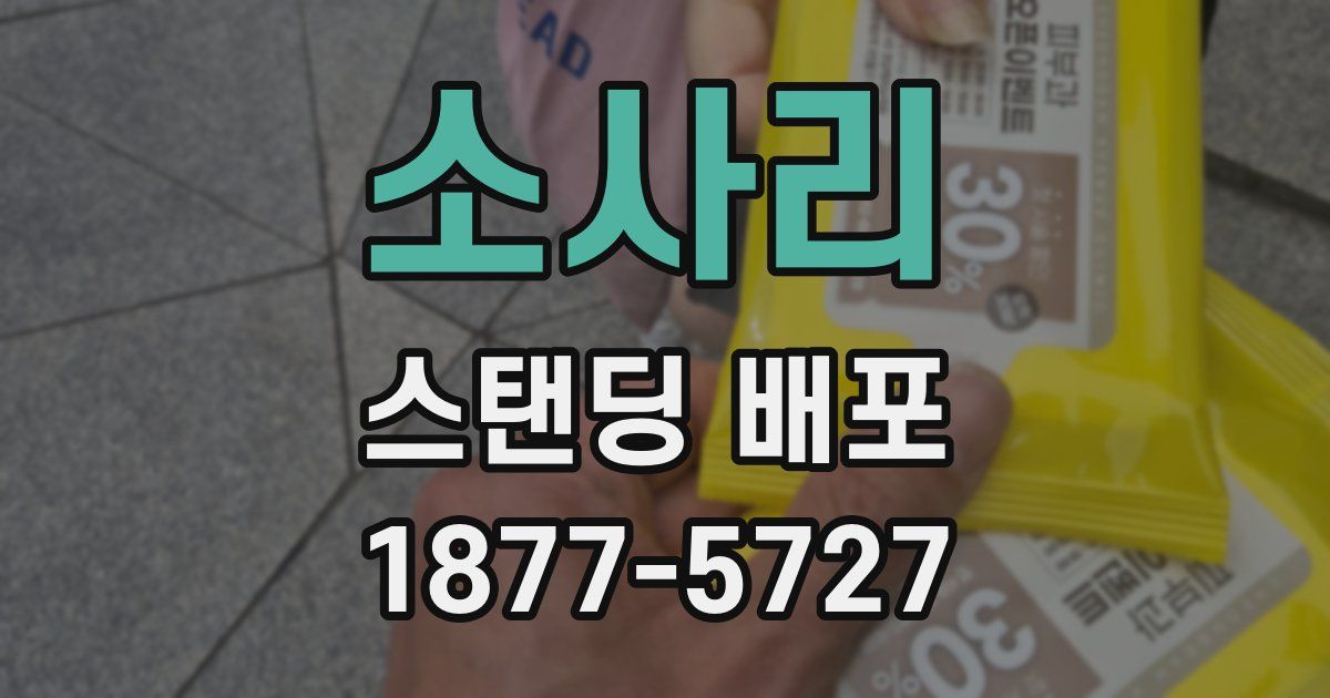 소사리 스탠딩 배포