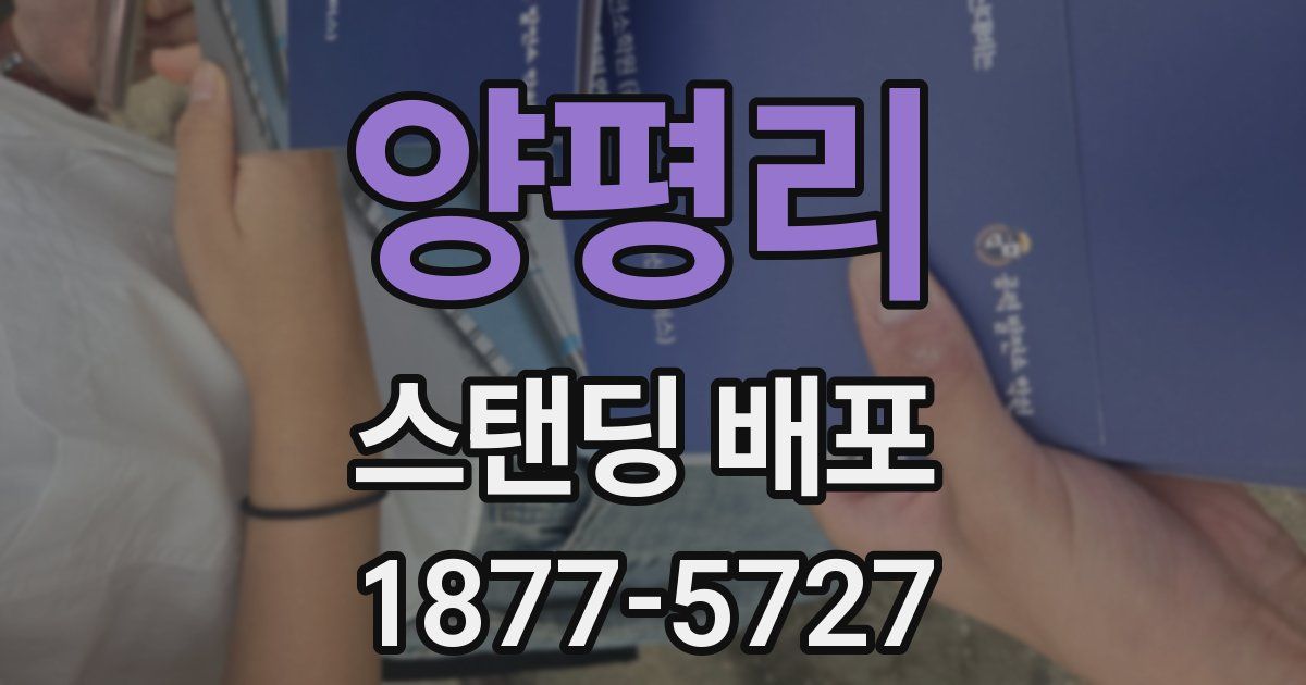 양평리 스탠딩 배포