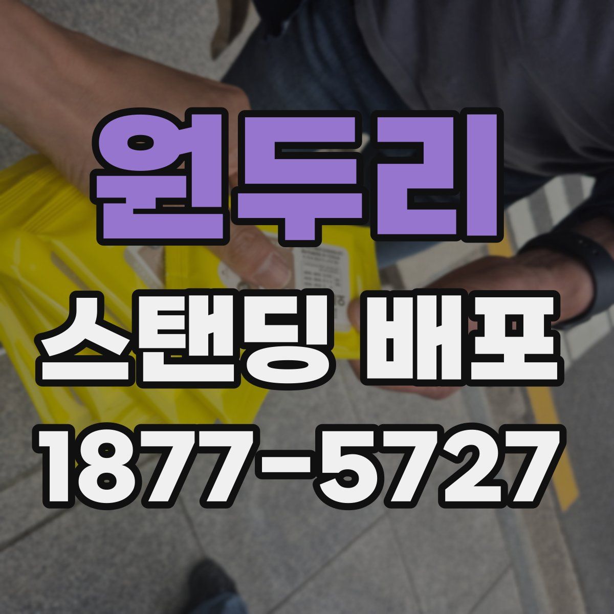 원두리 스탠딩 배포