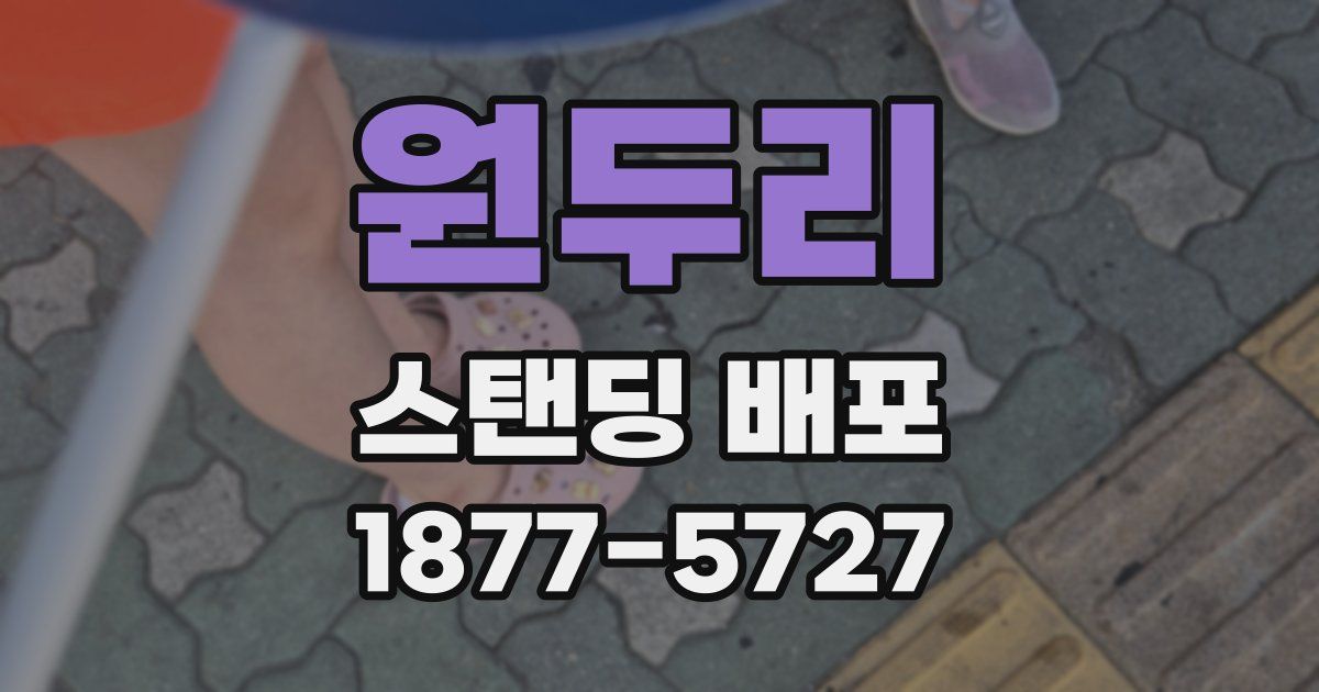 원두리 스탠딩 배포