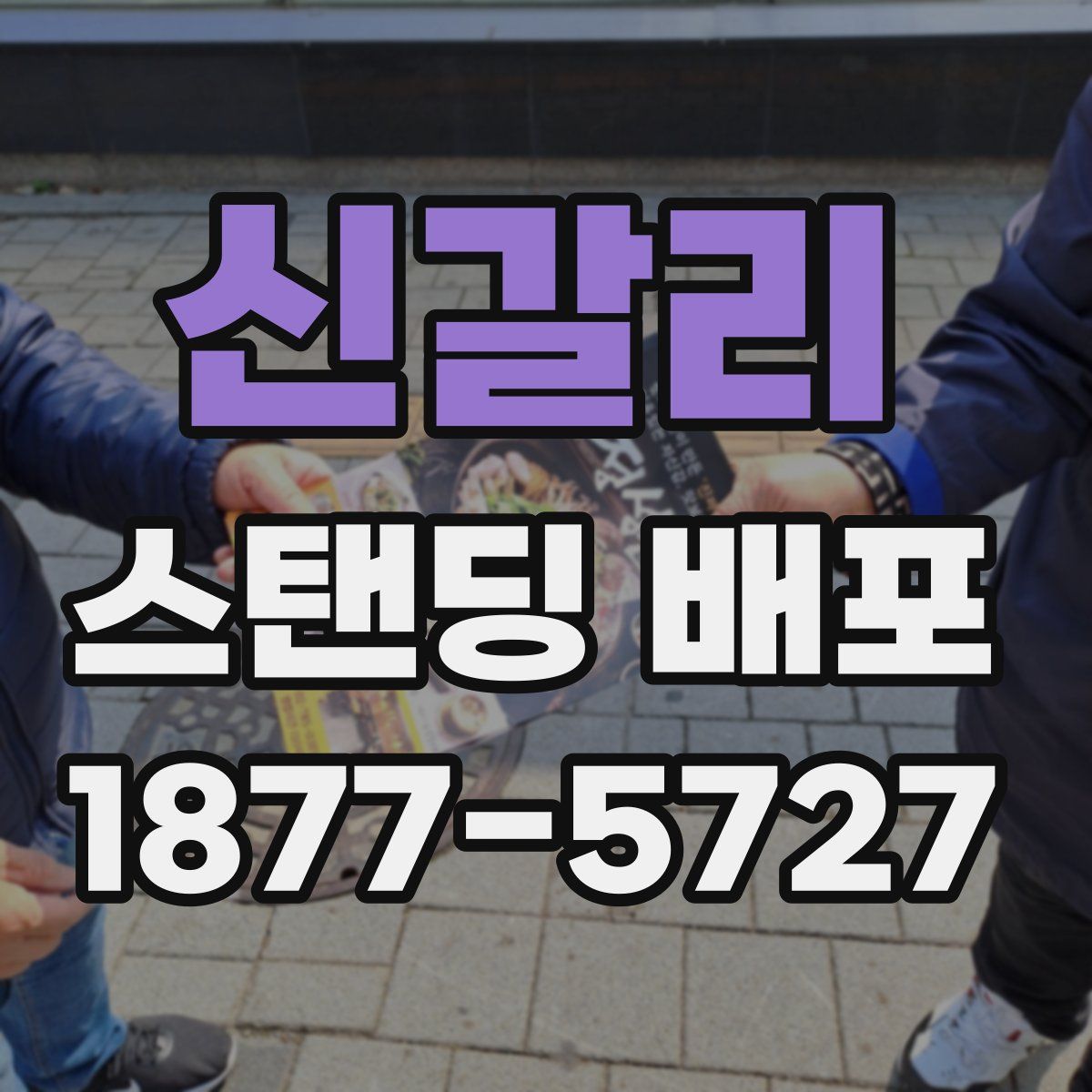 신갈리 스탠딩 배포