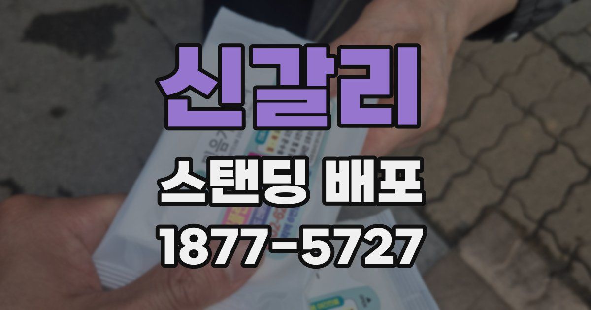 신갈리 스탠딩 배포