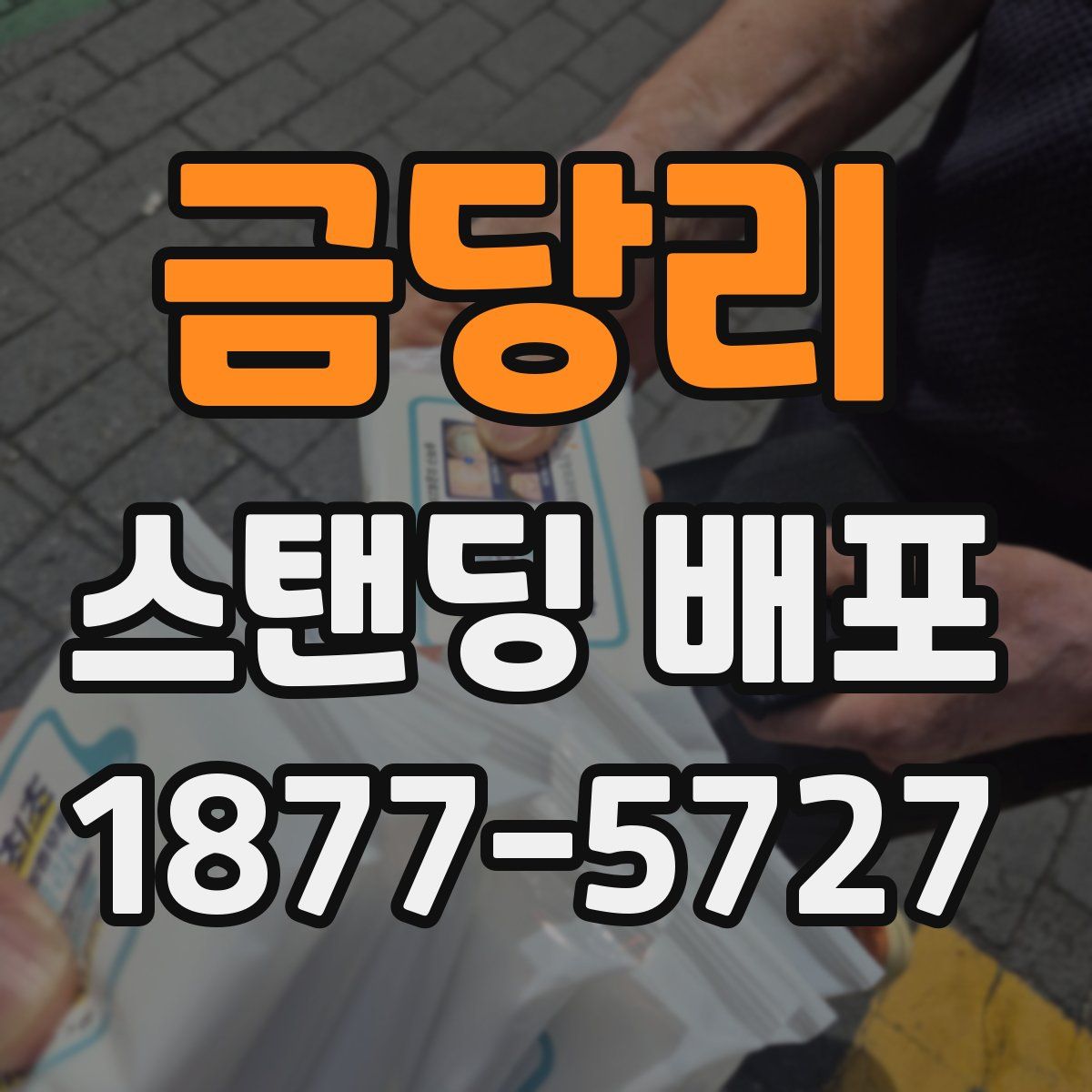 금당리 스탠딩 배포