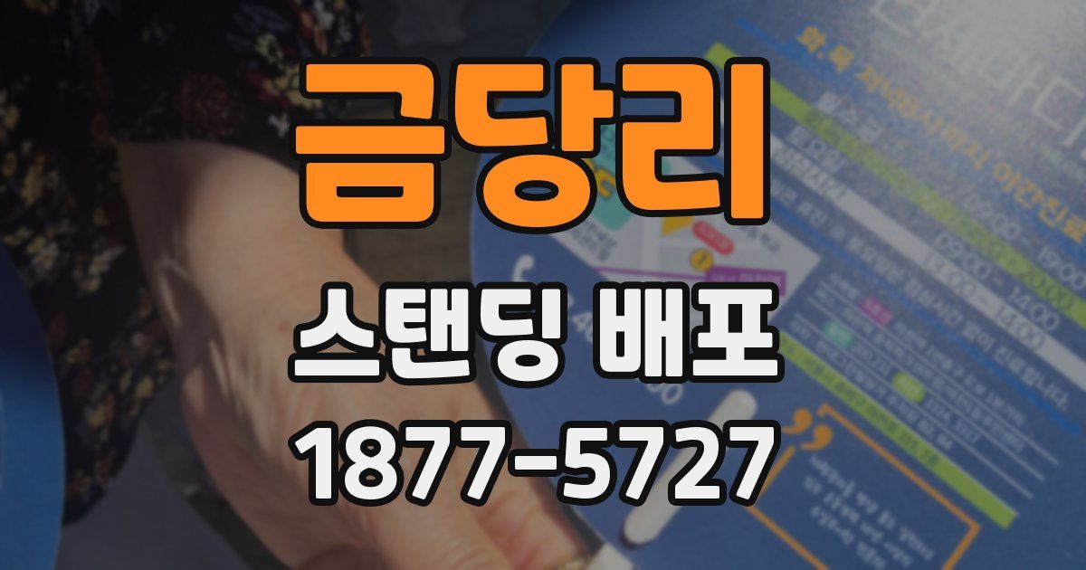 금당리 스탠딩 배포