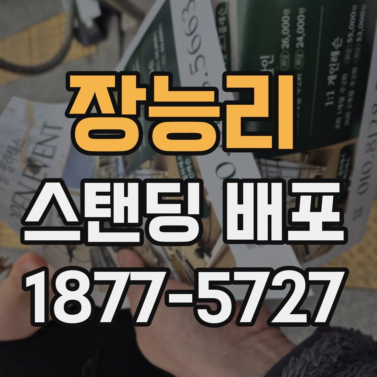 장능리 스탠딩 배포