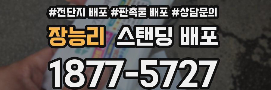 장능리 스탠딩 배포