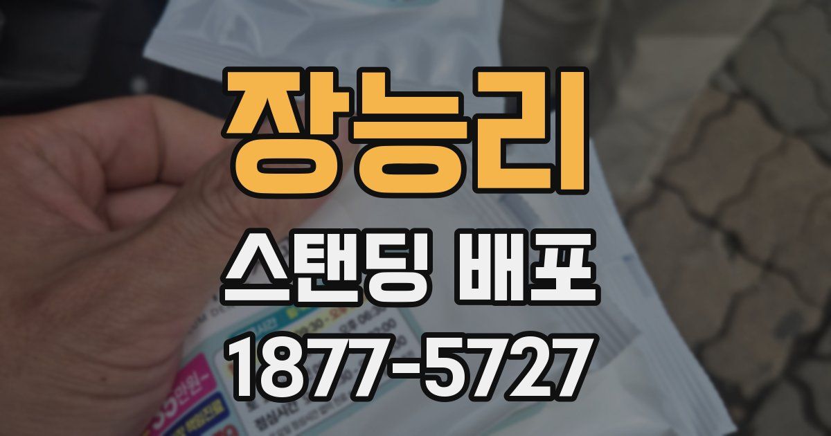장능리 스탠딩 배포