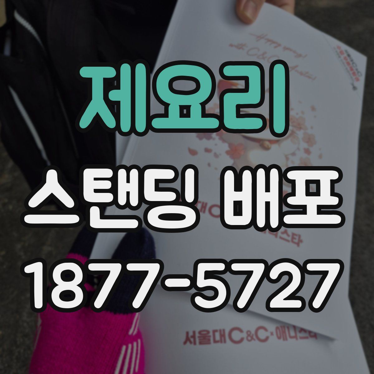 제요리 스탠딩 배포