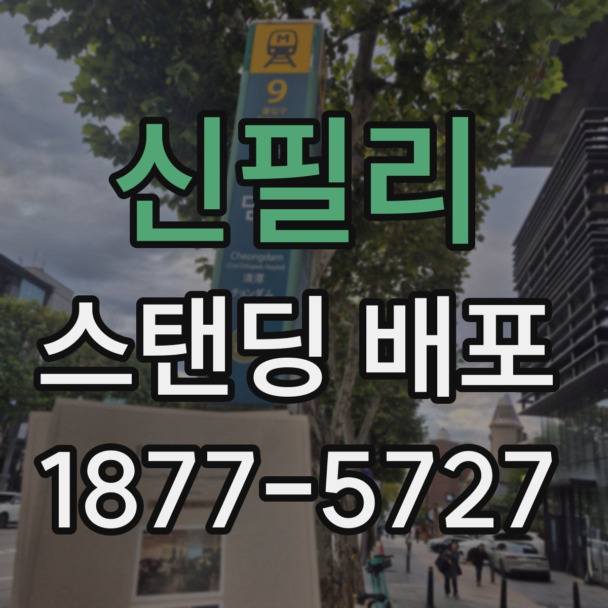 신필리 스탠딩 배포