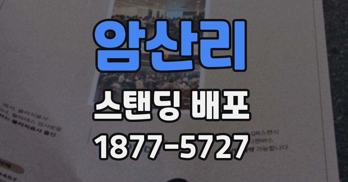 암산리 스탠딩 배포