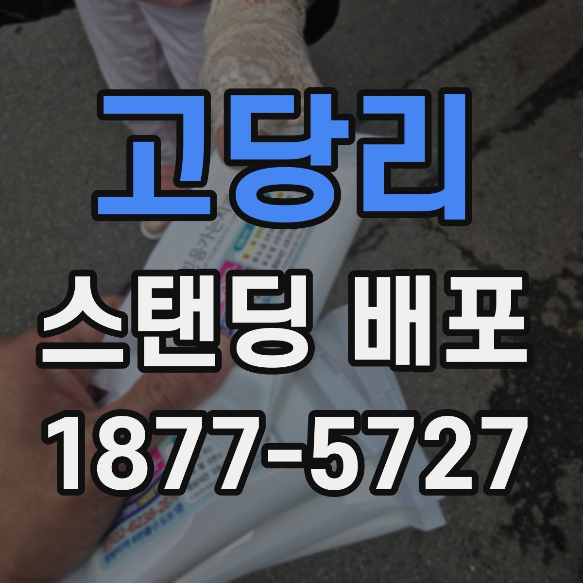 고당리 스탠딩 배포