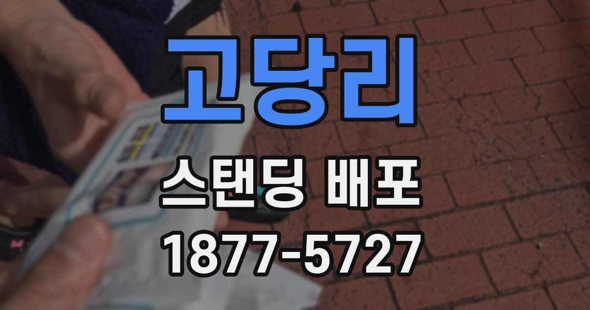 고당리 스탠딩 배포