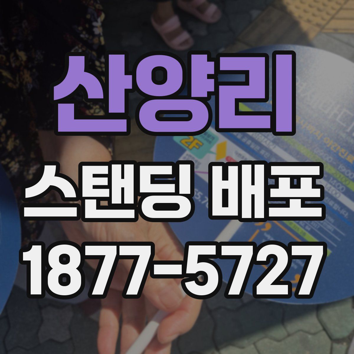 산양리 스탠딩 배포