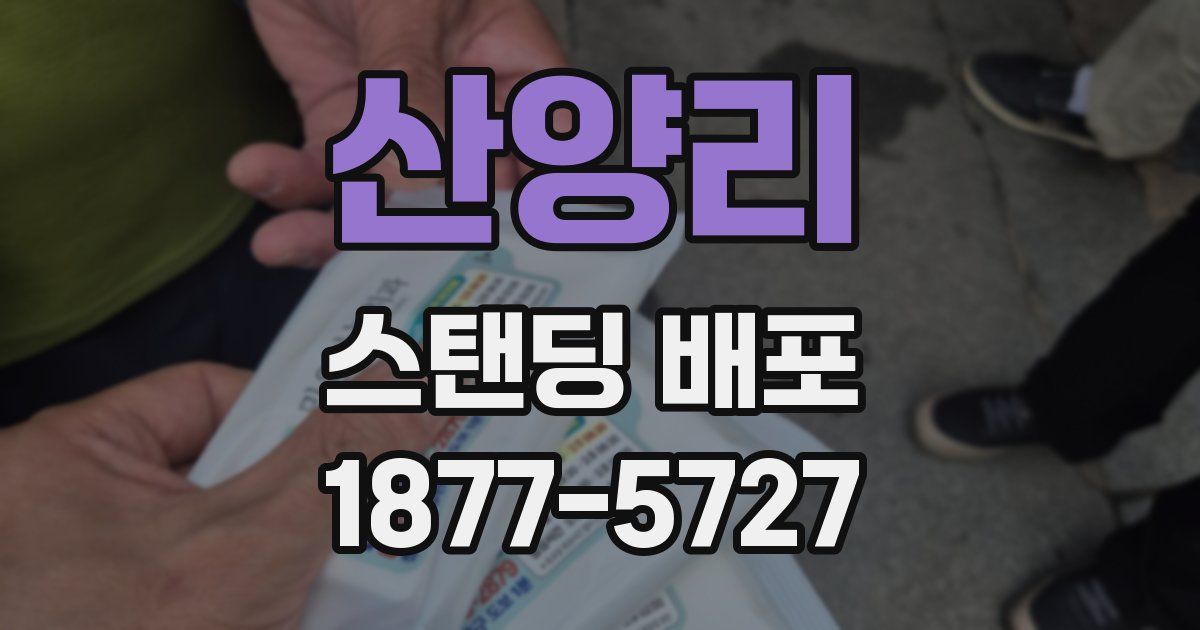 산양리 스탠딩 배포