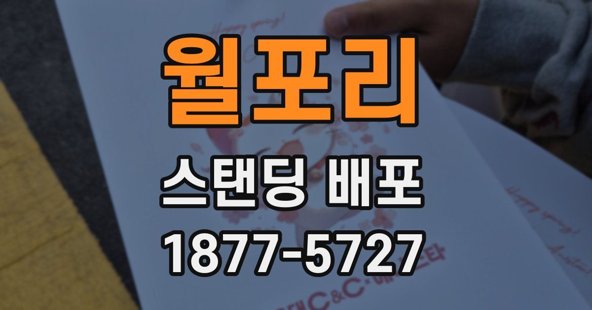 월포리 스탠딩 배포