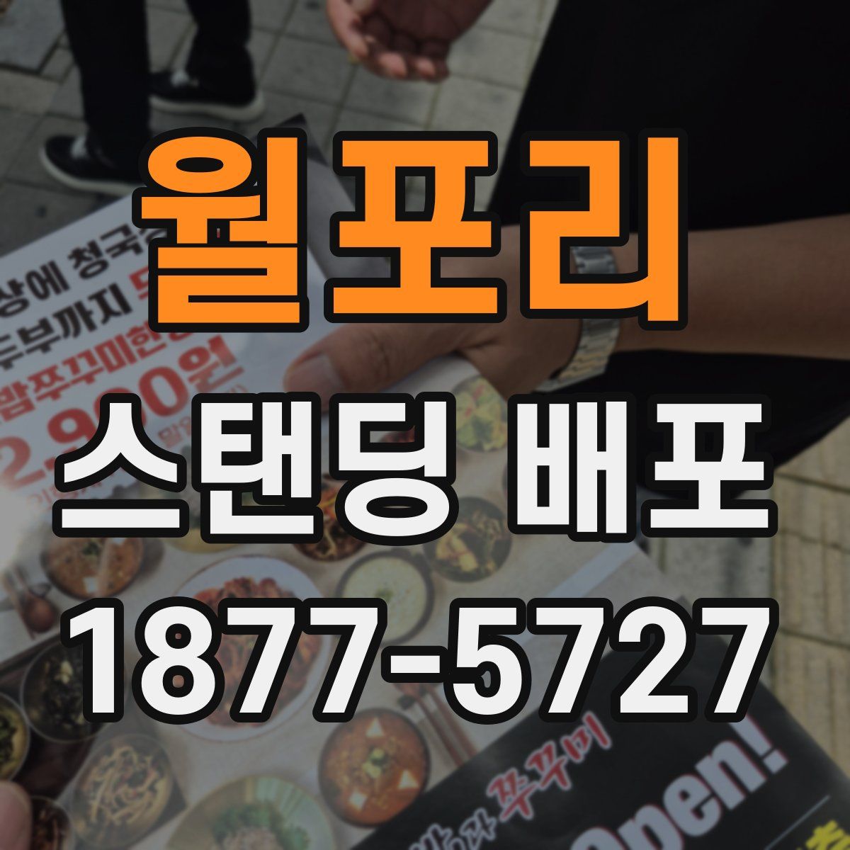 월포리 스탠딩 배포