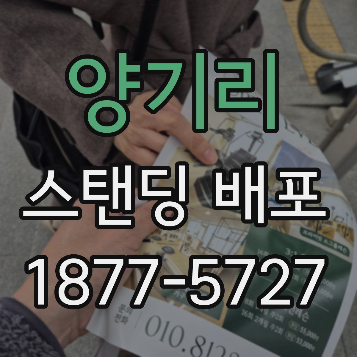 양기리 스탠딩 배포