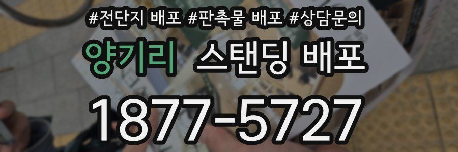 양기리 스탠딩 배포