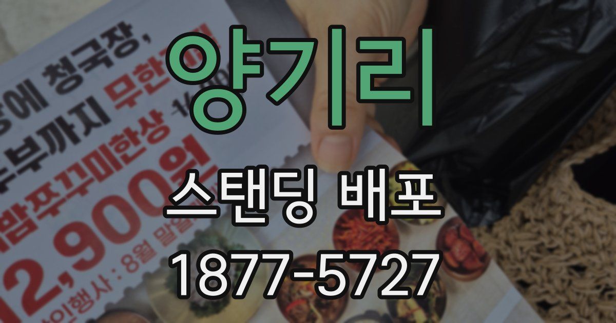 양기리 스탠딩 배포