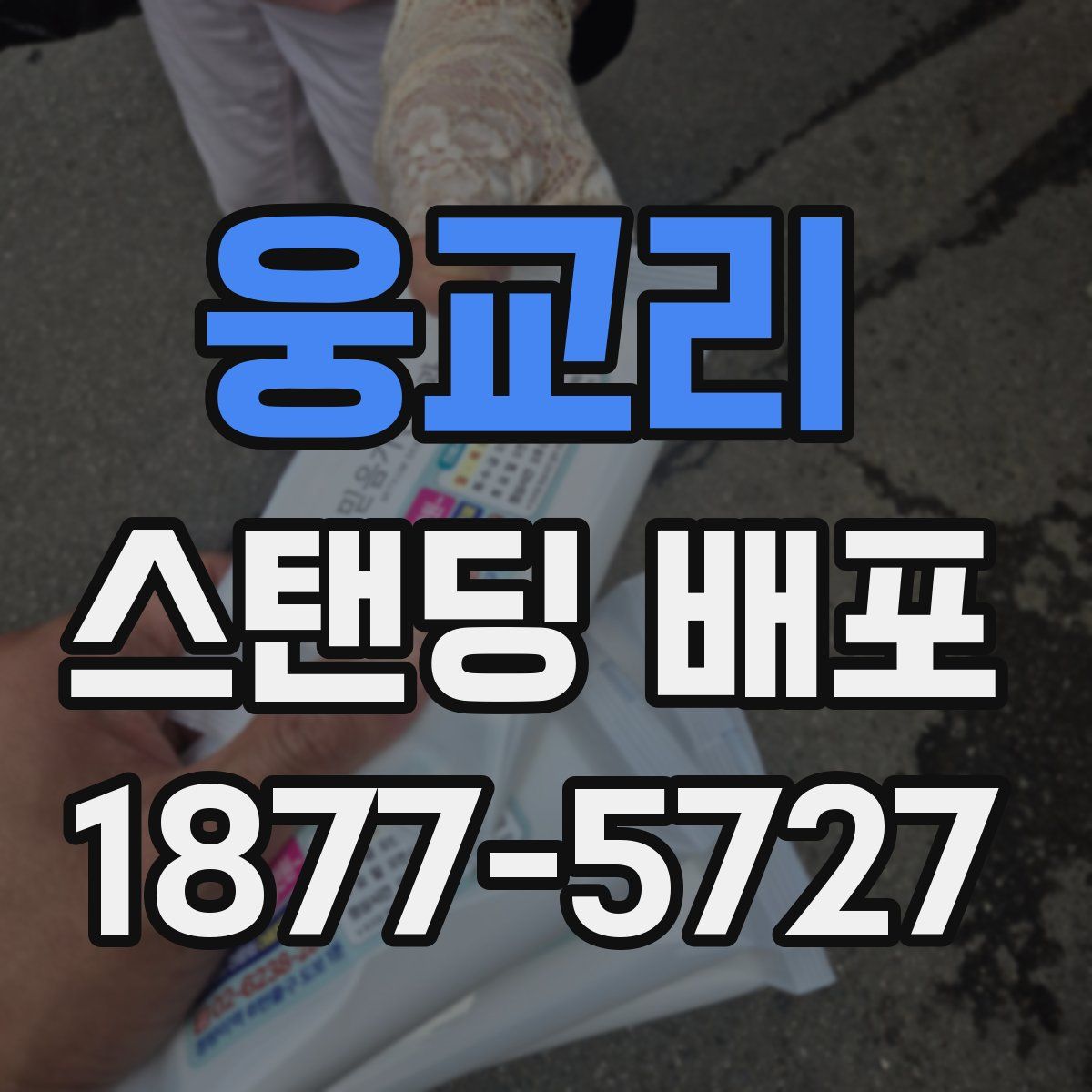 웅교리 스탠딩 배포