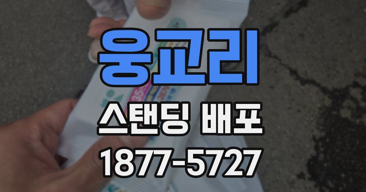 웅교리 스탠딩 배포