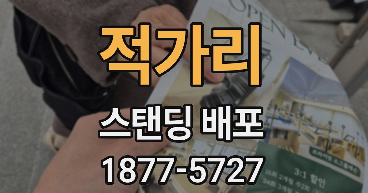 적가리 스탠딩 배포