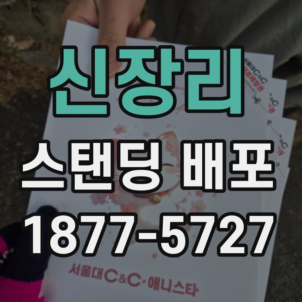 신장리 스탠딩 배포
