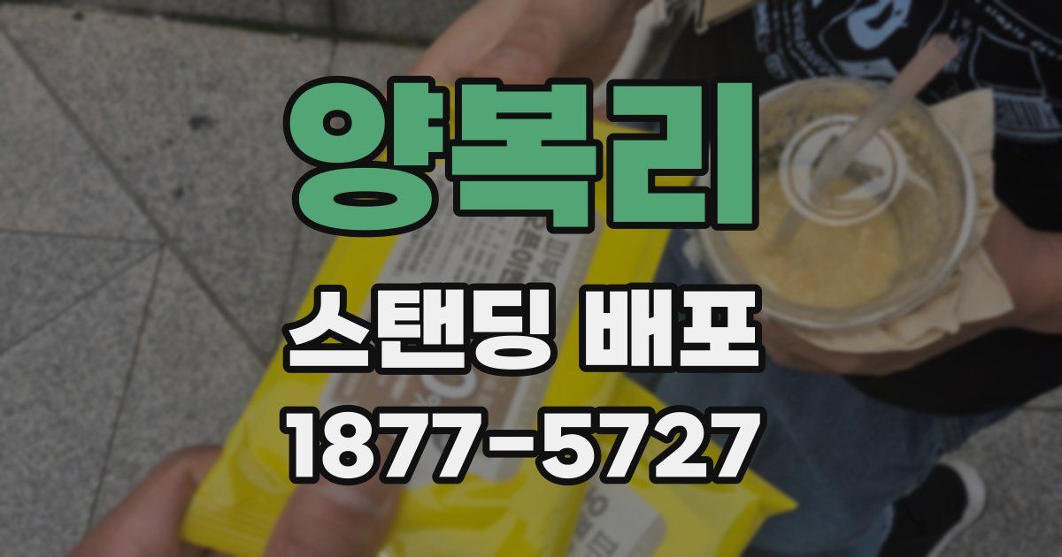 양복리 스탠딩 배포