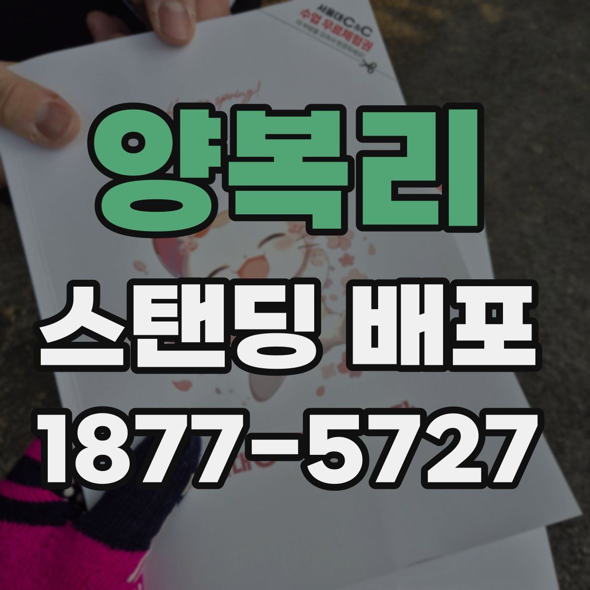 양복리 스탠딩 배포